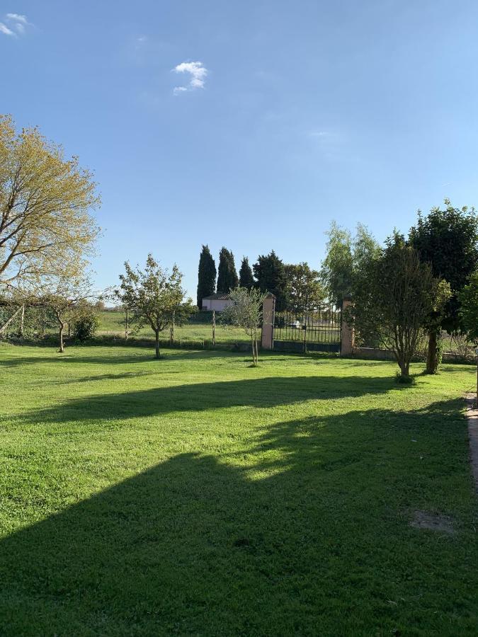 Villa Favilli Pisa Eksteriør billede