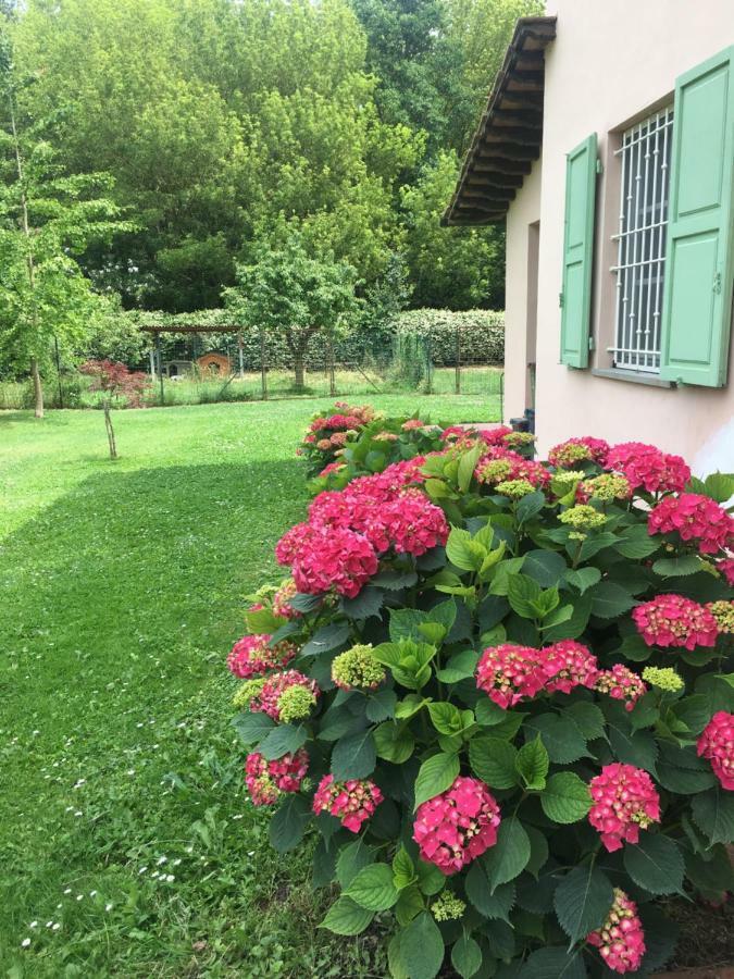 Villa Favilli Pisa Eksteriør billede
